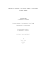 Chronic low back pain: a multimodal approach to outpatient physical therapy