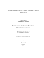 Outpatient rehabilitation for a patient with low back pain and radicular pain