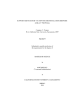 Support services for youth with emotional disturbances: a grant proposal