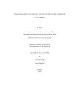 Needs assessment of aged out foster youth and AB12 program evaluation