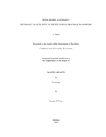 "Beer, boobs, and babes": hegemonic masculinity in the television program "MANnswers"