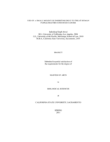 Use of a small molecule inhibitor drug to treat human papillomavirus induced cancer