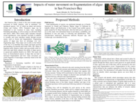Impacts of water movement on fragmentation of algae in San Francisco Bay