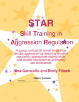 Skills training in aggression regulation (STAR): a group curriculum designed to address female aggression among high school students
