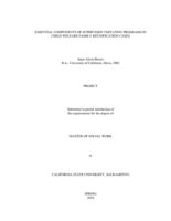 Essential components of supervised visitation programs in child welfare family reunification cases
