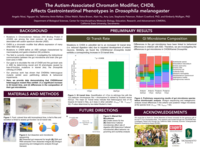 The autism-associated chromatin modifier, CHD8, affects gastrointestinal phenotypes in Drosophila melanogaster