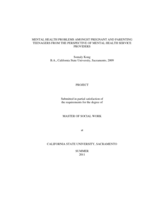 Mental health problems amongst pregnant and parenting teenagers from the perspective of mental health service providers