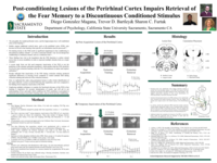 Post-conditioning lesions of the perirhinal cortex impairs retrieval of the fear memory to a discontinuous conditioned stimulus