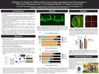 Bisphenol A exposure differentially impairs neurodevelopmental phenotypes in wild-type Drosophila and in a Drosophila model of fragile X syndrome