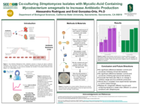 Co-culturing streptomyces isolates with mycolic-acid containing Mycobacterium smegmatis to increase antibiotic production