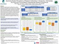 Examining student perceptions of research authenticity in introductory, intermediate, and advanced course-based undergraduate research experiences