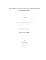 Same but different? : criminal justice and social work perspectives on human sex trafficking