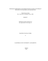 Program components and interventions to help counteract the effects of maternal incarceration