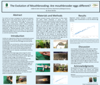 The evolution of mouthbrooding: are mouthbrooder eggs different?