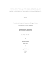 Investigation of the role of Fragile X mental retardation protein in the embryonic neocortex using RNA interference.