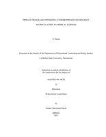 Pipeline programs optimizing underrepresented minority matriculation to medical schools