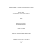 Using the internet as an access to leisure: a study of Meetup