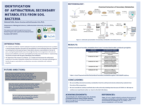 Identification of antibacterial secondary metabolites from soil bacteria