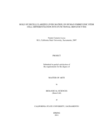 Role of decellularized liver matrix on human embryonic stem cell differentiation into functional hepatocytes