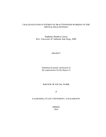 Challenges encountered by practitioners working in the mental health field