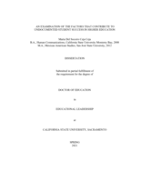 An examination of the factors that contribute to undocumented student success in higher education