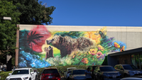 Artist interview, Jenn Ponci