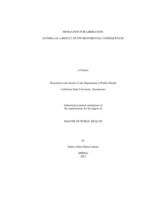 Mitigation for liberation: asthma as a result of environmental consequences