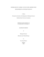 Optimization of a model to study gene amplification mechanisms in Acinetobacter baylyi
