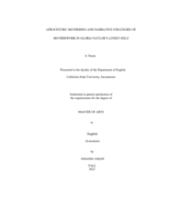 Afrocentric mothering and narrative strategies of motherwork in Gloria Naylor's Linden Hills
