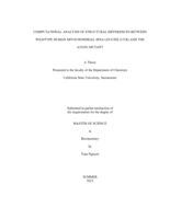 Computational analysis of structural differences between wildtype human mitochondrial tRNA leucine (UUR) and the A3243G mutant