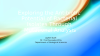 Exploring the antibiotic potential of bacterial isolates through mutational analysis