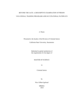 Beyond the gate: A descriptive examination of prison vocational training programs and occupational pathways