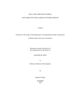 Self-care, perceived stress, and subjective well-being in foster parents