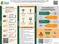 From Audit to Action: Cultivating and Sustaining Organizational Efforts in DEIA