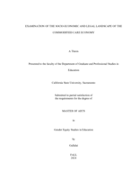 Examination of the socio-economic and legal landscape of the commodified care economy