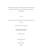 More than one bad event: The impact of family dynamics and  the school experience on arab american youth identity development