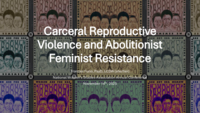 Carceral Reproductive Violence and Abolitionist Feminist Resistance