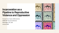 Incarceration as a Pipeline to Reproductive Violence and Oppression