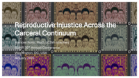 Reproductive Injustice Across the Carceral Continuum